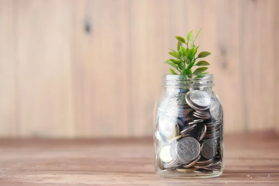 Illustration d’articles sur les états financiers et les ratios.